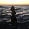 brinktaylorr